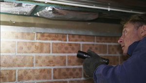 Termite Swarming Cycles: Quiet Does Not Mean Safe