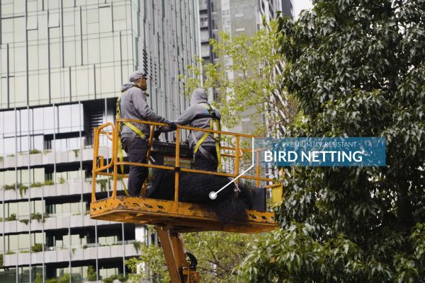 bird-netting-melbourne-0017-layer-17EF4FF8E2-19CA-948A-B72B-D458EBC054BA.jpg