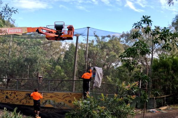 bird-netting-11F0E53D7A-7337-C198-1513-EC8E7D9B7D11.jpg